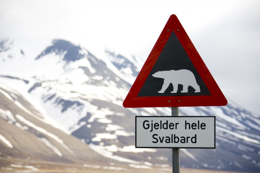 Panneau de signalisation Attention aux ours, en Norvège
