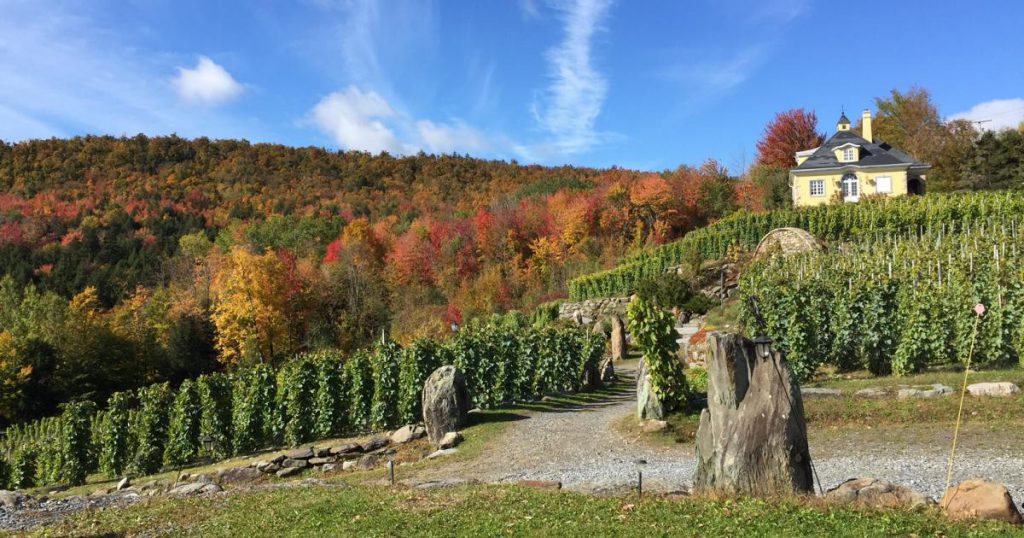 La route des vins pour un roadtrip